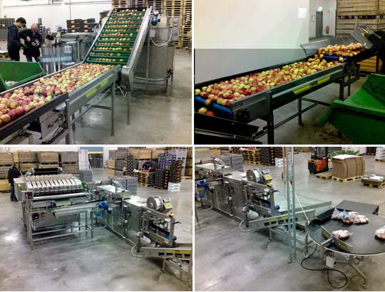 PACKLINJE F&Ouml;R &Auml;PPLE I PLASTP&Aring;SAR