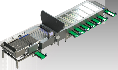 Newtec Celox sorterare f&ouml;r morot