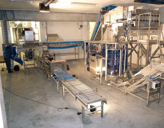 Packlinje f&ouml;r s&auml;ckar i kartonger med Bulkbagger.