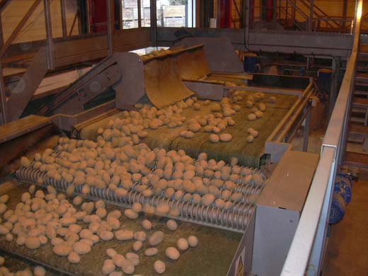 Spiralvalsar f&ouml;r potatis.