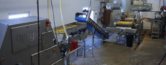 OPTISK SORTERING FR&Aring;N KEY TECHNOLOGY