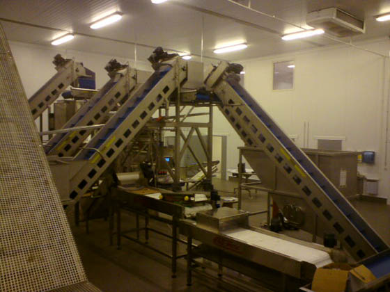 Flexibel matning fr&aring;n storlekssortering till sk&auml;rlinjer och packlinjer.