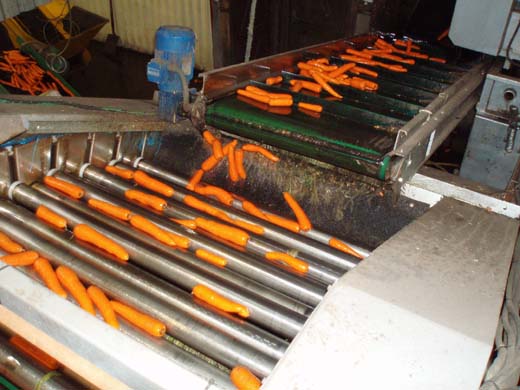 Rullsorterare f&ouml;r morot, palsternackor m m