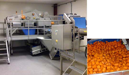 PROCESSLINJER FR&Aring;N SORMAC