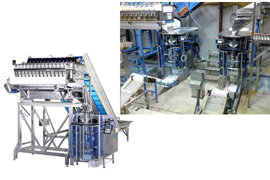 VERTIKALPACK JASA F&Ouml;R MOROT